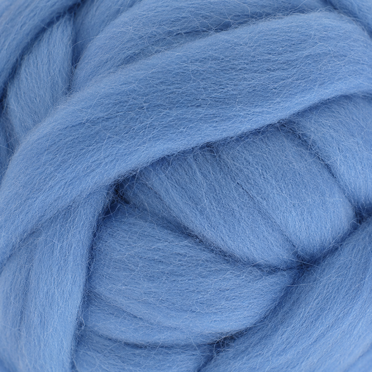 Merino Wool Roving | Carolina | EF070