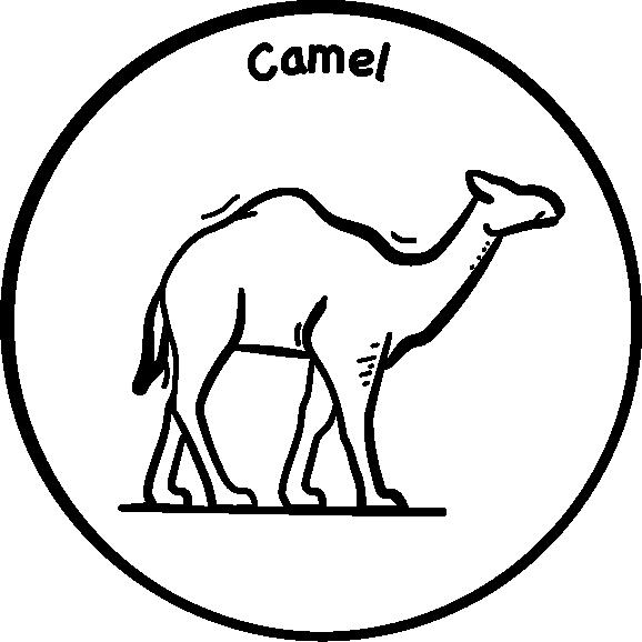 CAMEL FIBERS