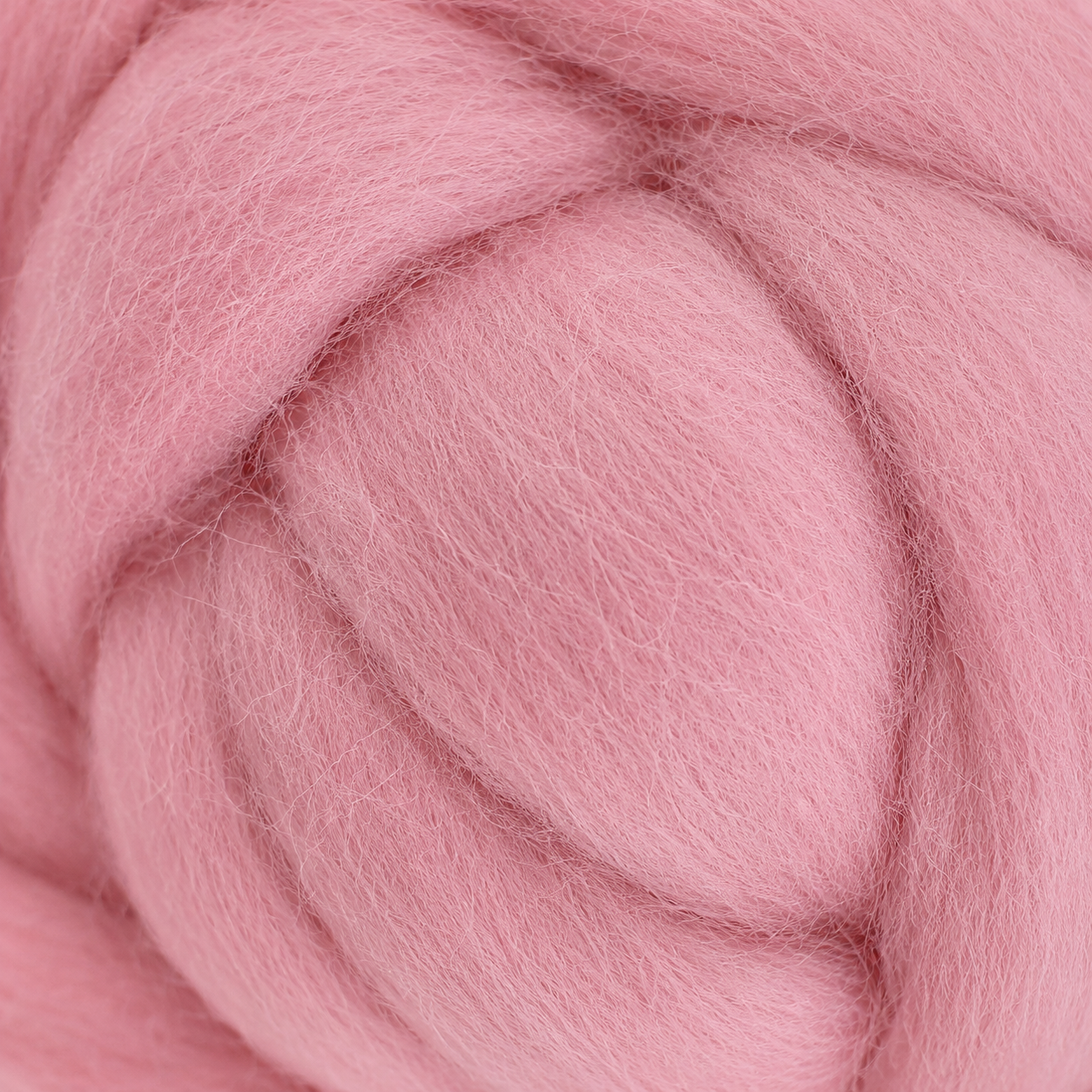 Merino wool top Piggy EF004