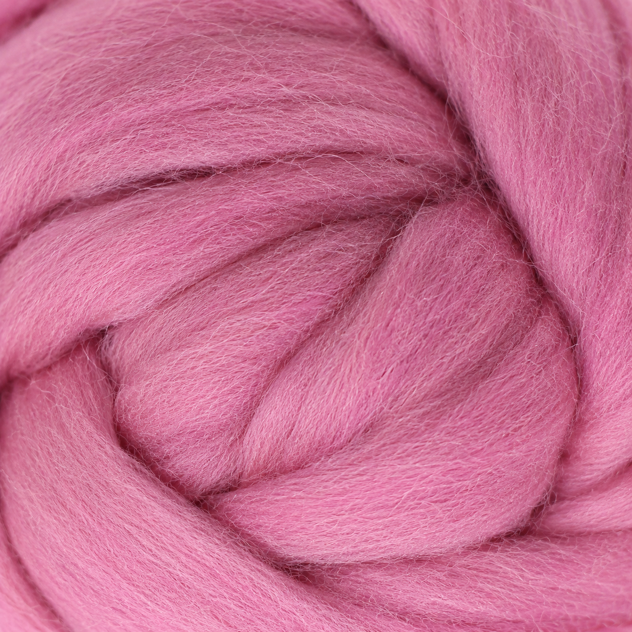 Merino Wool Top Cameo 2 EF083