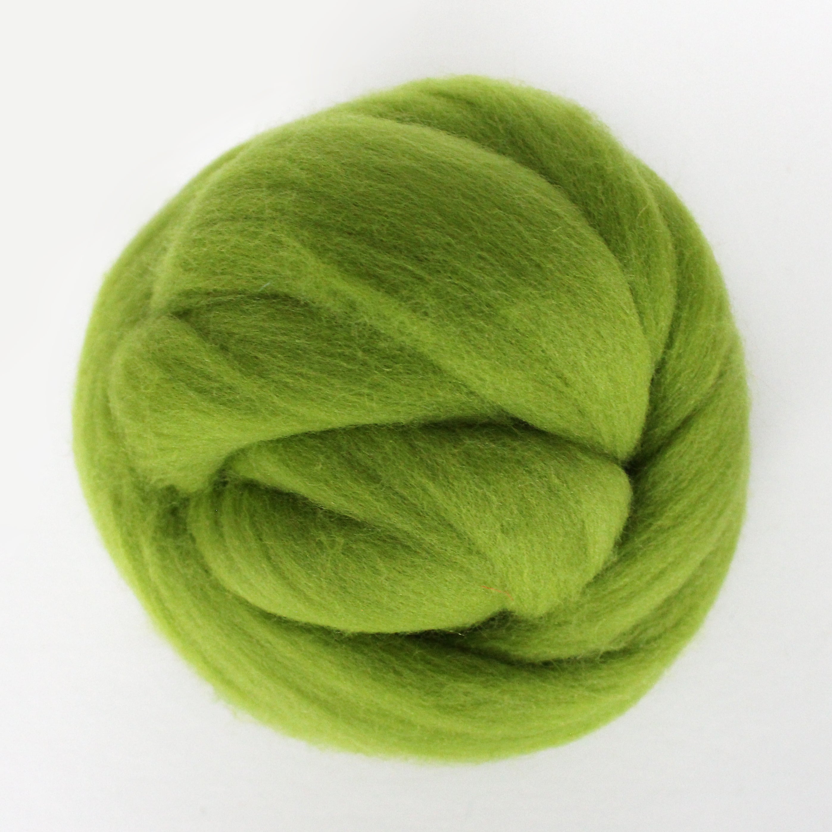 Merino Wool Roving Densetsu Green EF106