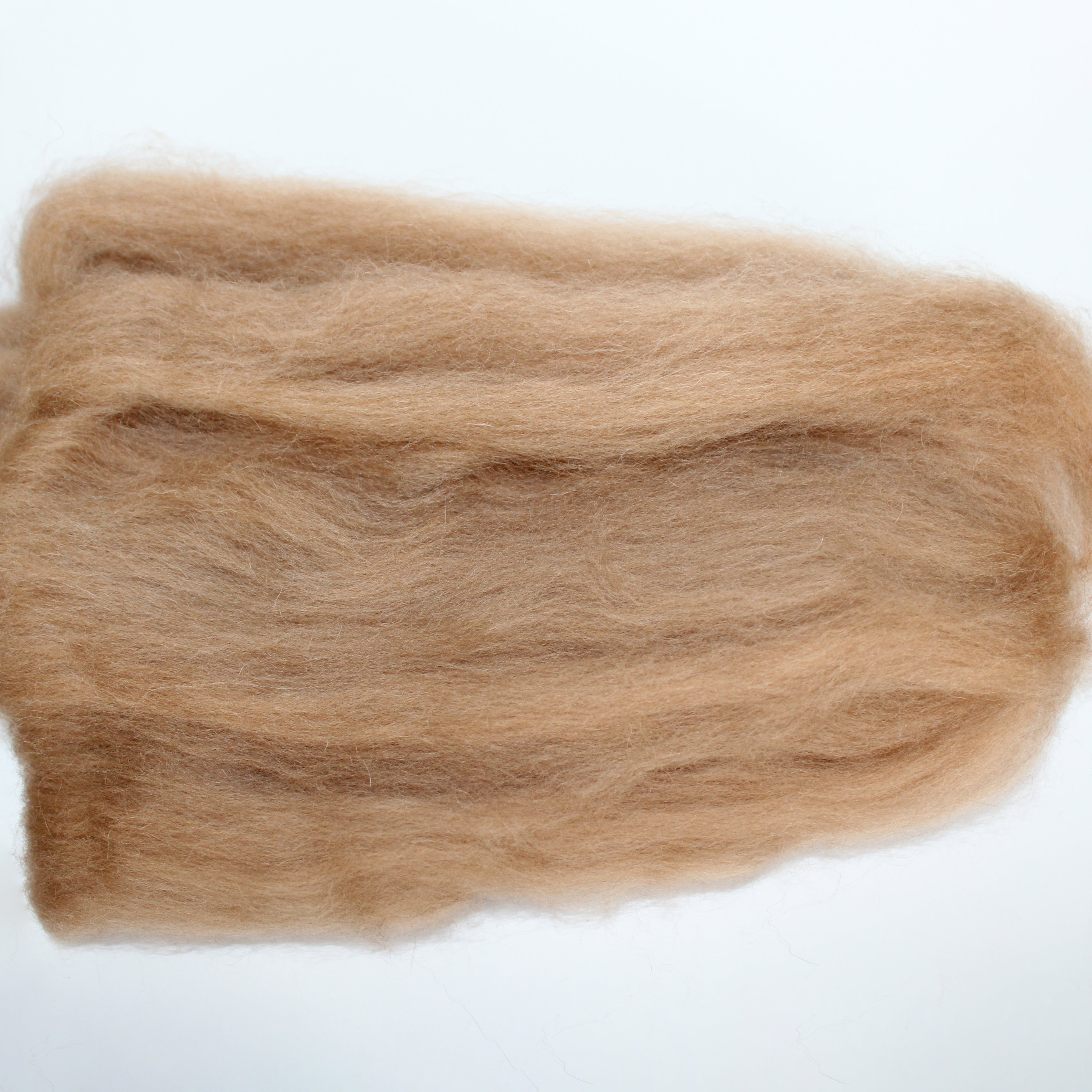 #117 PURE DEHAIRED BABY CAMEL DOWN GOLDEN BROWN ROVING